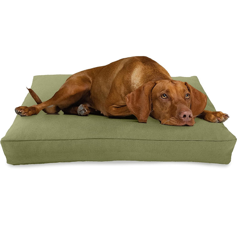 Certipur dog sales bed